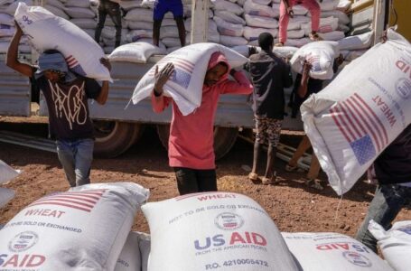 Analysts back Trump’s USAID cuts in Africa, say increased trade will better benefit continent’s poor