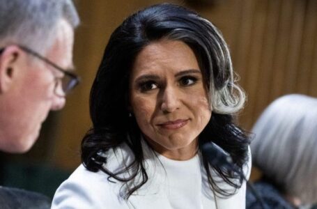 Tulsi Gabbard confirmation vote kicks off Wednesday morning after snowstorm thwarts midnight session