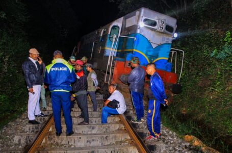 Train hits elephant herd in Sri Lanka, killing at least six elephants, say police