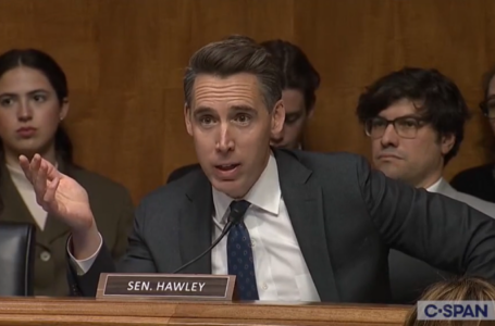 Hawley calls for watchdog over Ukraine aid after Democrats blocked previous effort