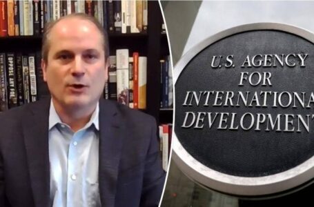 Former USAID official Mark Moyar says ‘corruption’ at agency ‘subverted’ Trump White House