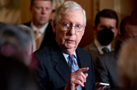 ‘GOOD RIDDANCE’: MAGA reacts to ‘RINO’ Mitch McConnell Senate exit