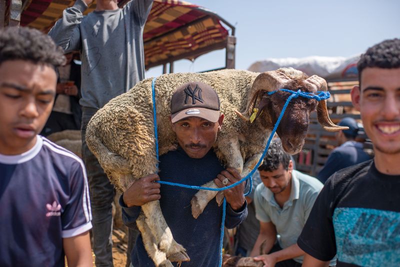  Drought-hit Morocco asks citizens not to slaughter sheep on Eid al-Adha