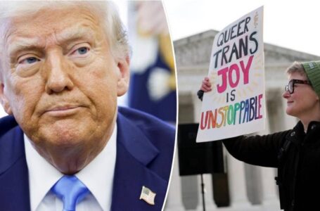 Trans lawsuit lobbed against Trump admin based on ‘faulty interpretations’: Legal expert