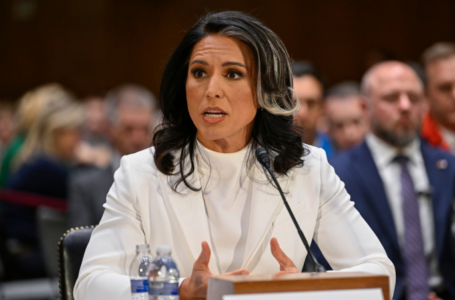 Tulsi Gabbard explains why she won’t call Edward Snowden a ‘traitor’ ahead of tough committee vote