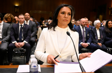 Trump nominee Tulsi Gabbard clears last hurdle, heads for final confirmation vote