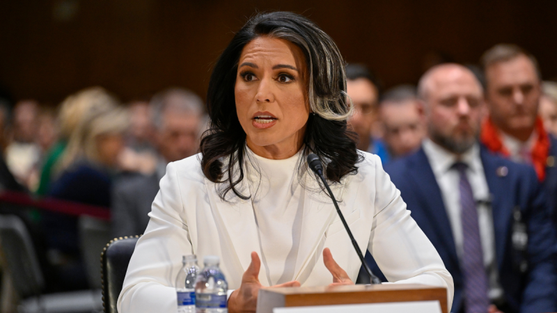  Tulsi Gabbard confirmation fate to be tested with key committee vote