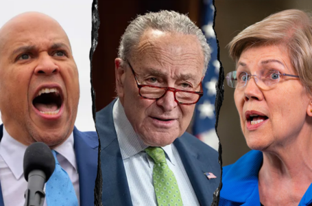 Conservatives flip script on Senate Dems pushing identical talking points against Trump: ‘Like robots’