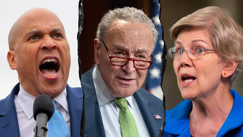  Conservatives flip script on Senate Dems pushing identical talking points against Trump: ‘Like robots’