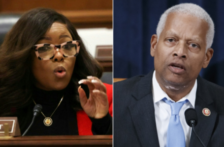 House Dems suggest Trump is trying to bring back slavery in racially charged livestream: ‘Back to the fields’