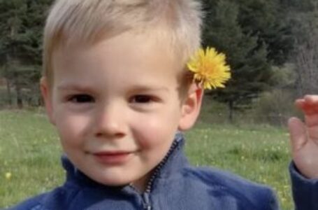 Grandparents arrested for murder of French toddler who disappeared from their garden