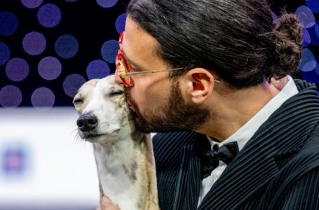 Italian whippet called Miuccia is top pooch at world’s biggest dog show