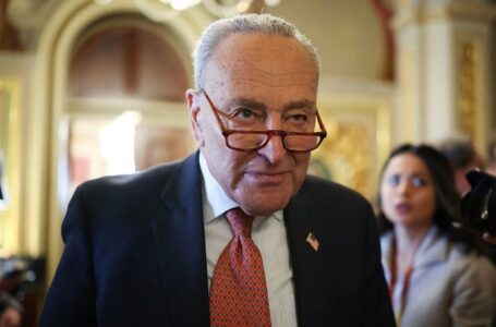 Schumer refuses to step down as Senate Dem leader, defends shutdown vote