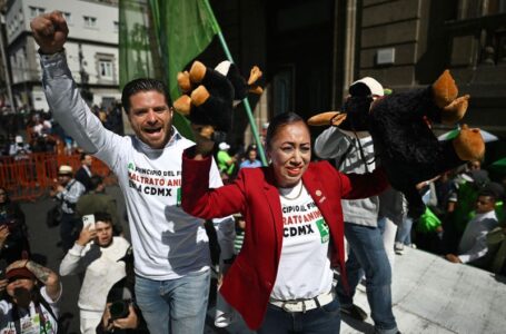 Mexico City bans swords from bullfights, in win for animal activists