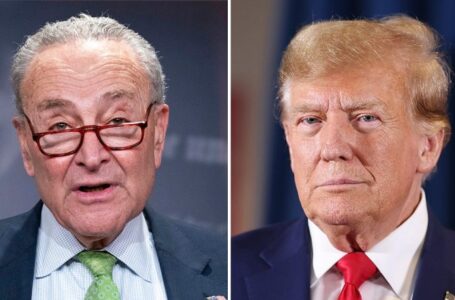 Chuck Schumer will vote to keep government open: ‘For Donald Trump, a shutdown would be a gift’