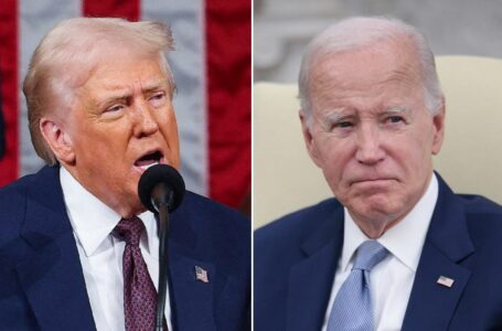 Successful legal challenges to Biden’s pardons over autopen signature ‘vanishingly low’: Turley